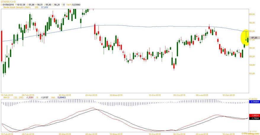 entratatrade articolo