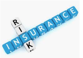 insurance risk